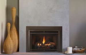 Gas Fireplace Insert